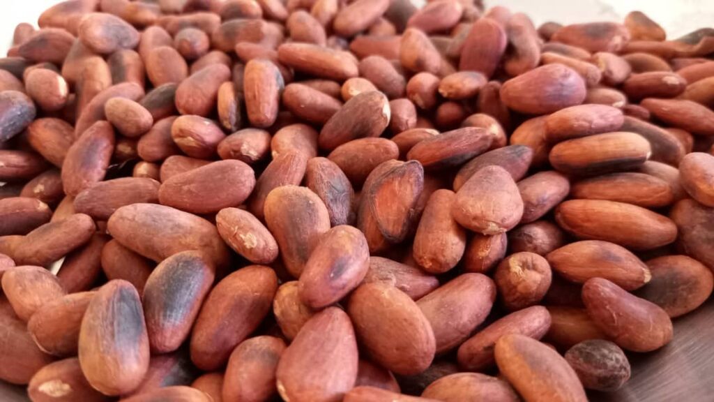 cacao produit de la coopérative coopca-djouman